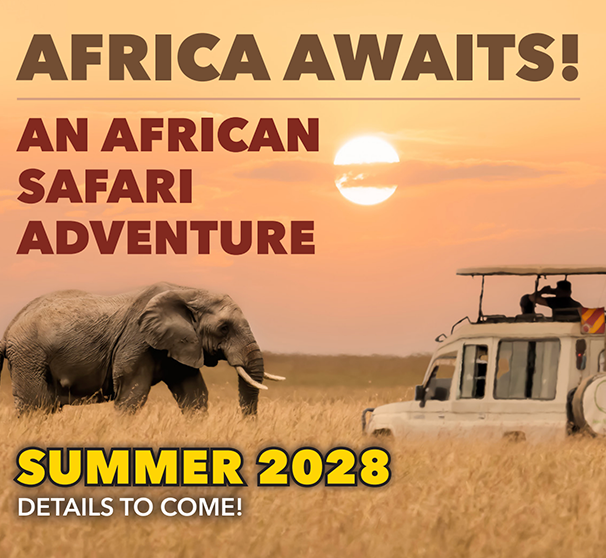 Africa: Summer 2028. More Details to Come.
