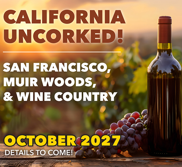 California: October 2027. More Details to Come.