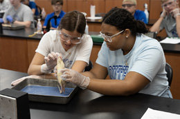 A group of Southeast Lauderdale High School juniors and seniors stepped out of their classroom and into a college lab at Meridian Community College as part of their dual-credit Anatomy and Physiology I course.